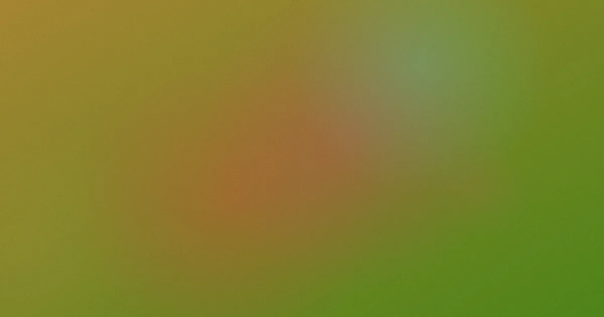 王玲怎么用？我的检索方法